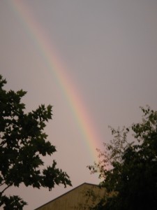 Regenbogen mitten in Favoriten